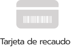 Pasarela de pagos